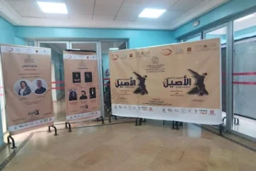 Complexe Culturel Sidi Belyout