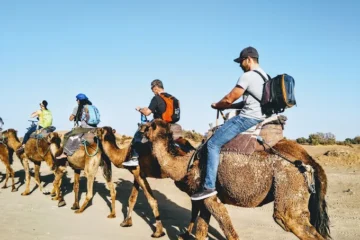 Festival International Merzouga