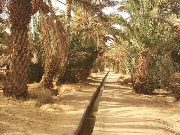 Festival International Merzouga