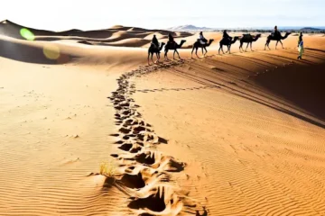 Festival International Merzouga