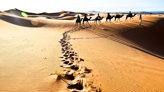 Festival International Merzouga