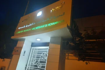 La Direction Provinciale de Lartisanat, de Léconomie Sociale et Solidaire 3