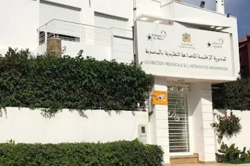 La Direction Provinciale de Lartisanat, de Léconomie Sociale et Solidaire 3