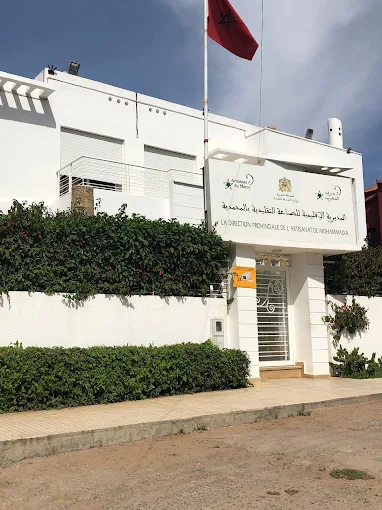 La Direction Provinciale de Lartisanat, de Léconomie Sociale et Solidaire 3