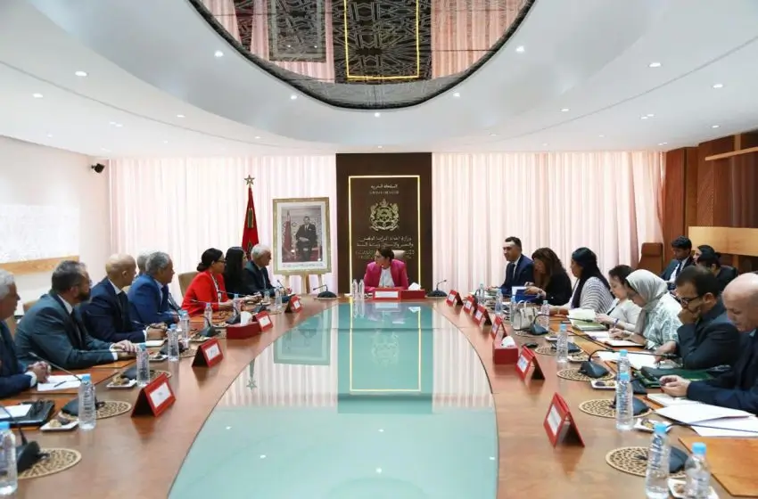 Le Conseil National de lOrdre des Architectes - CNOA