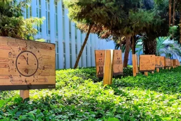 Institut Français de Casablanca