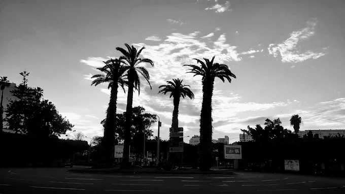 Instituto Cervantes de Casablanca